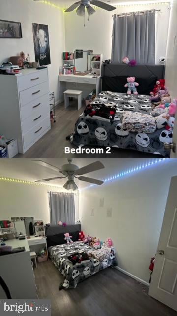 213 Morse St, Camden, NJ 08105 - photo 3