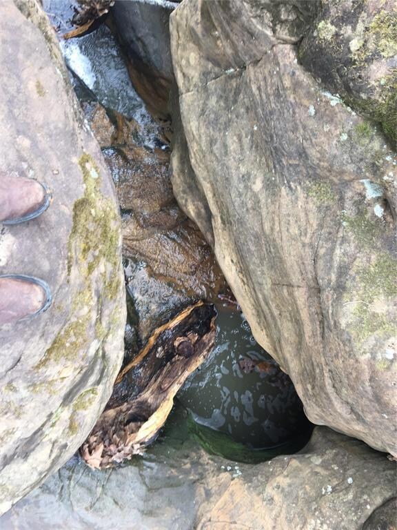 Spring in the creek