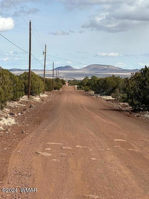 233 Cr 8088 Hohokam Rd unit 8088, Concho, AZ 85924 - photo 5