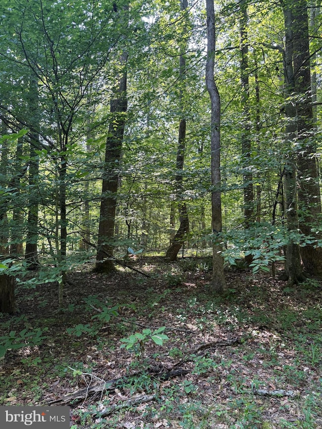 0 Cat Creek Rd unit MDSM2026434, Mechanicsville, MD 20659 - photo 2