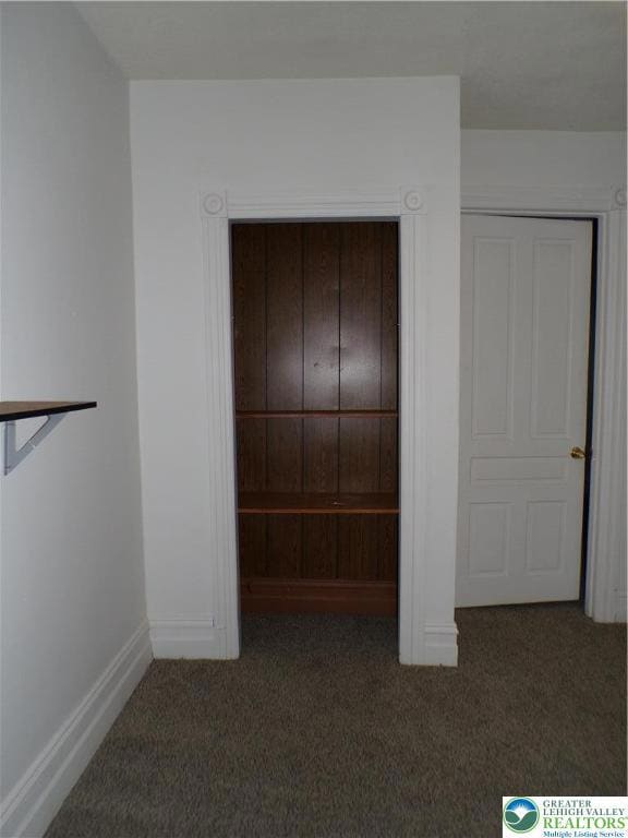 Living room closet