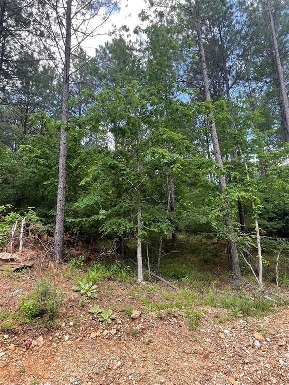 734 Timber Creek Trails South XI, Broken Bow, OK 74728 - photo 3