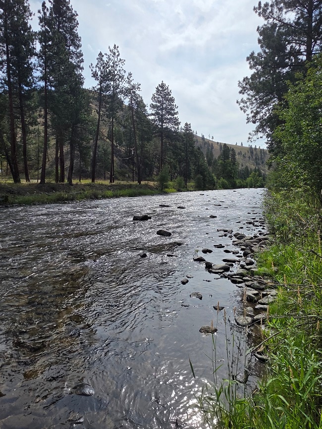 5855 Serenity Ln, Conner, MT 59827 - photo 4