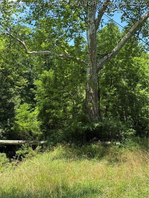 961 Road Run, Elizabeth, WV 26143 - photo 6