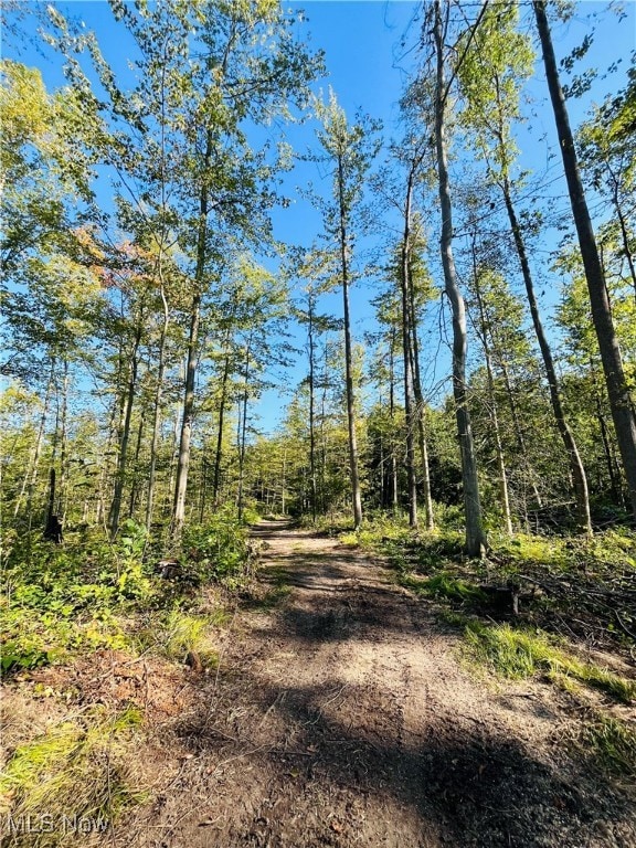 View of dirt / gravel road with a wooded view