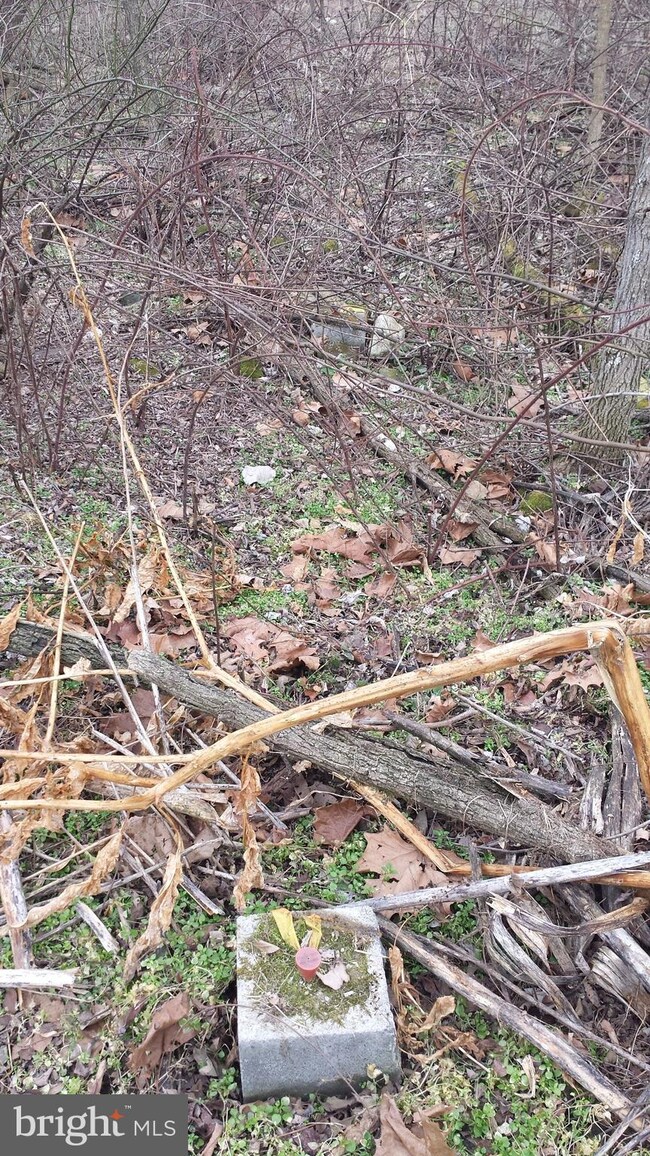 7195 N Fork Hwy, Cabins, WV 26855 - photo 6