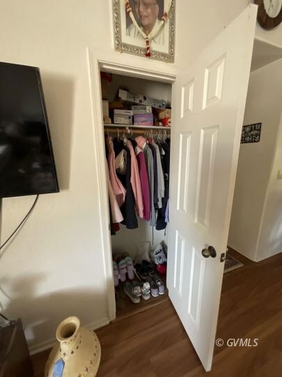 Living Area Closet at Enterance