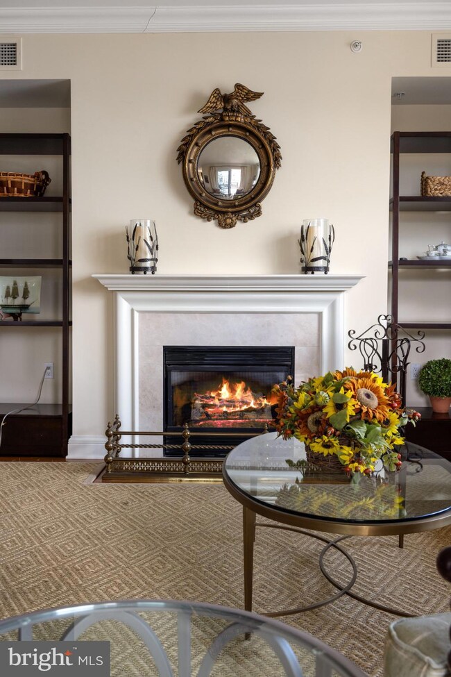 The Ritz-Carlton Residences, Baltimore, MD 21230 - photo 7