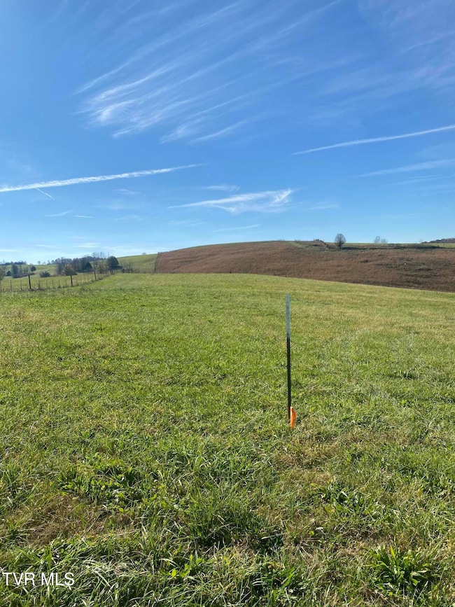 689 Painter Rd, Fall Branch, TN 37656 - photo 5