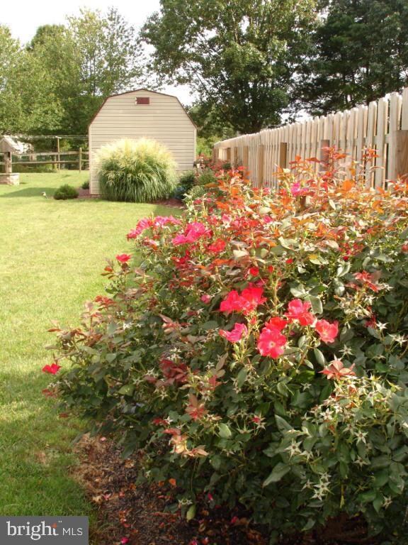 1233 Chestnut St, Narvon, PA 17555 - photo 6