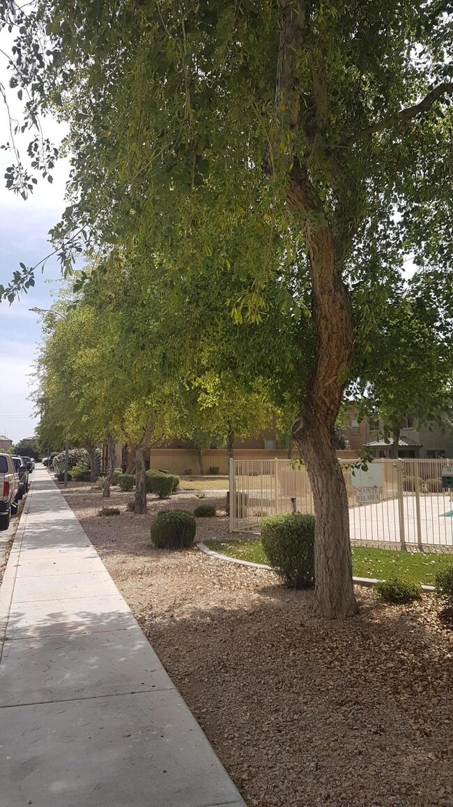 11976 W Fillmore St, Avondale, AZ 85323 - photo 3