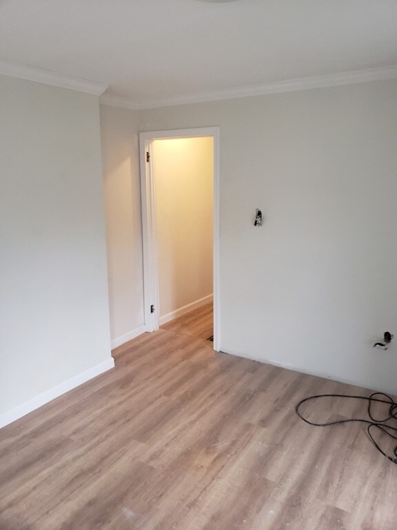 113 Cedar St, Springfield, MA 01105 - photo 5