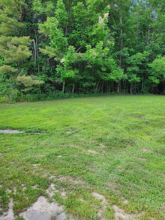 Open field at top of property (Copy)