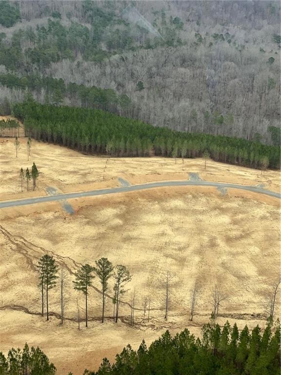 Bird's eye view with a rural view