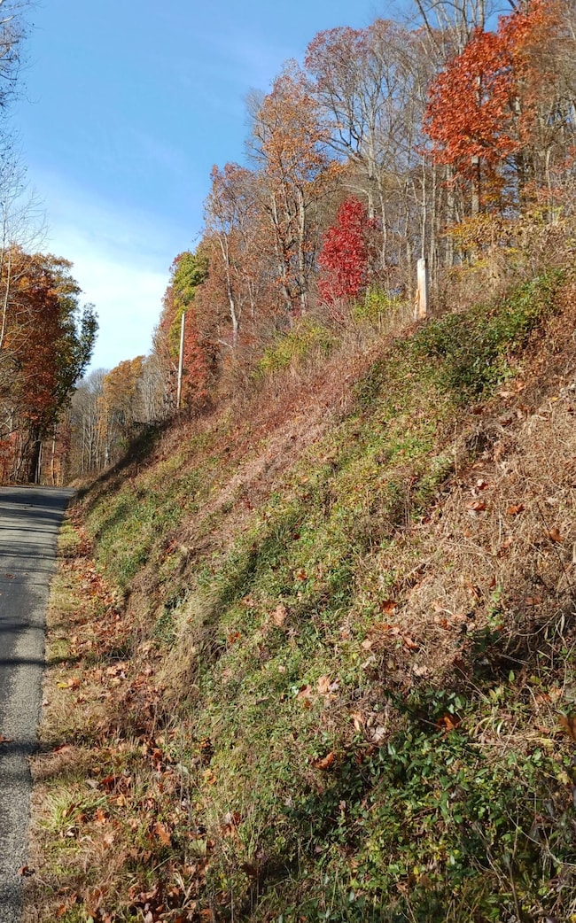 0 Lower Gambier Rd, Mount Vernon, OH 43050 - photo 4