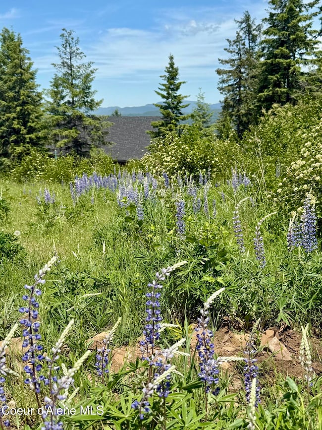 161 Brightwater Ln, Sandpoint, ID 83864 - photo 4