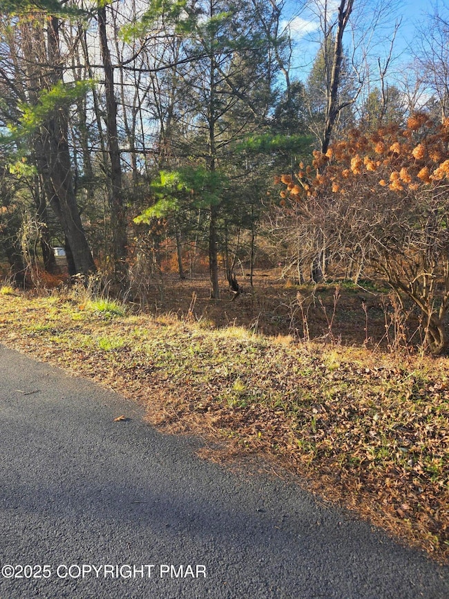 Lot 25 Pinewood Dr S, Middle Smithfield Township, PA 18302 - photo 3