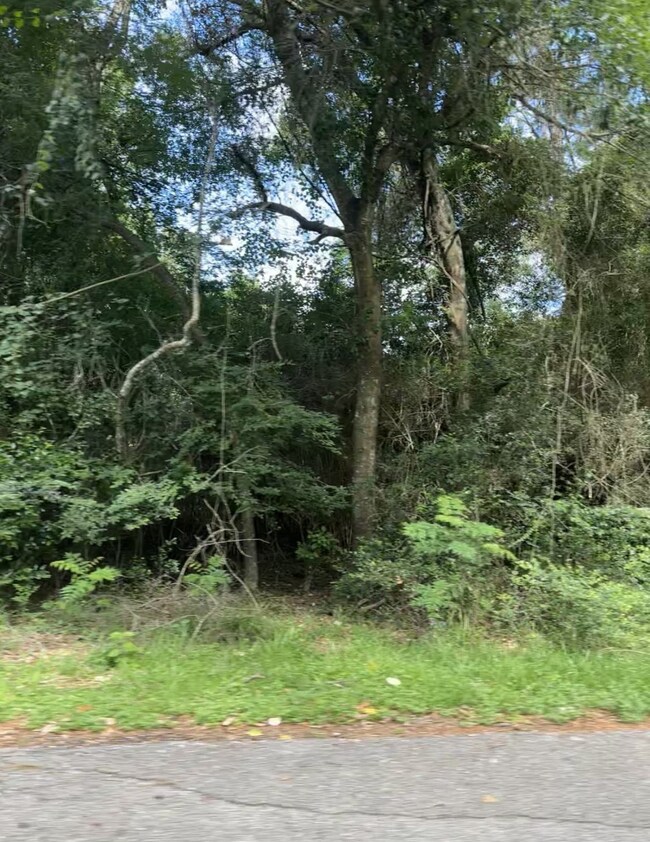 0 Cardinal unit 62109229, Hockley, TX 77447 - photo 4