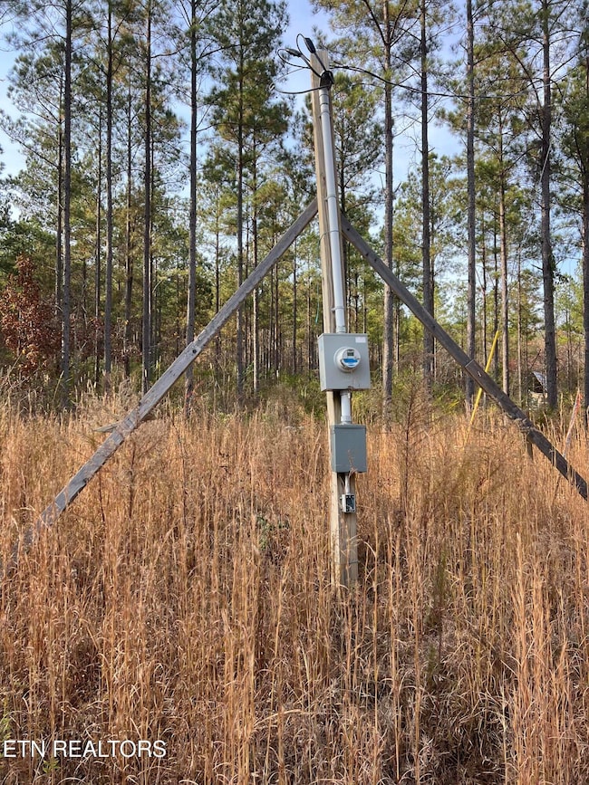 3203 Armstrong Ferry Rd, Decatur, TN 37322 - photo 2