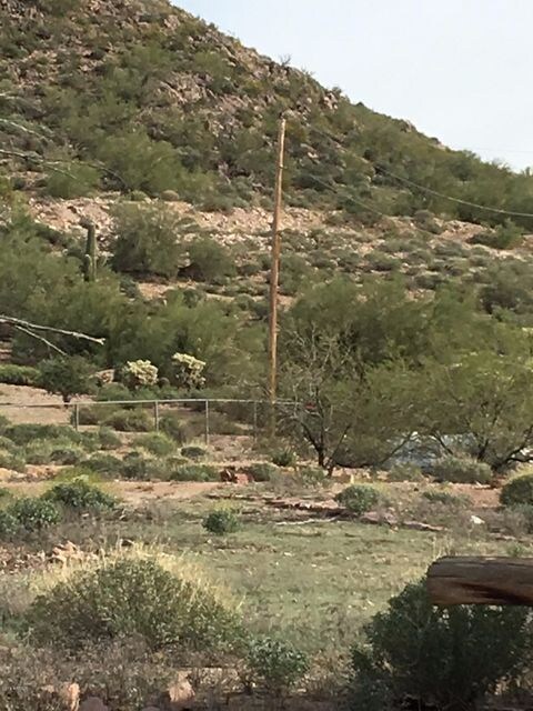 SE Corner of property