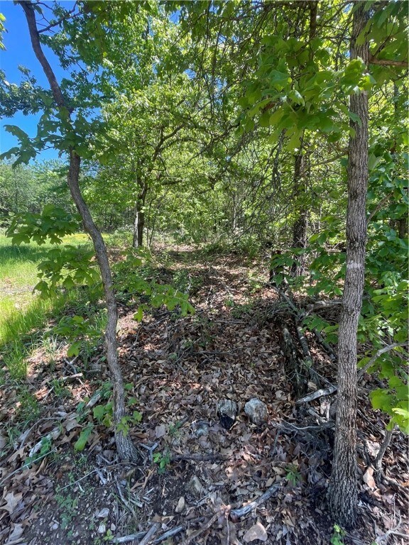 0 Boswell Cir, Bella Vista, AR 72715 - photo 6