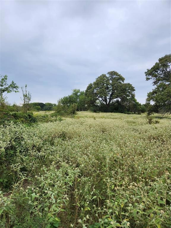 View of nature with a rural view