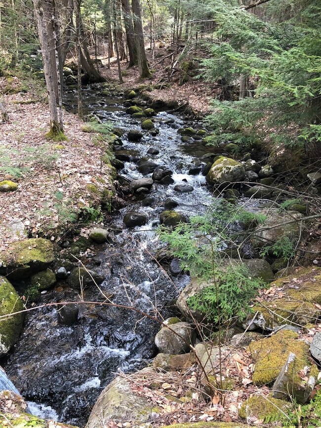 0 Hunt Lake Rd N unit 202116753, Hadley, NY 12835 - photo 4