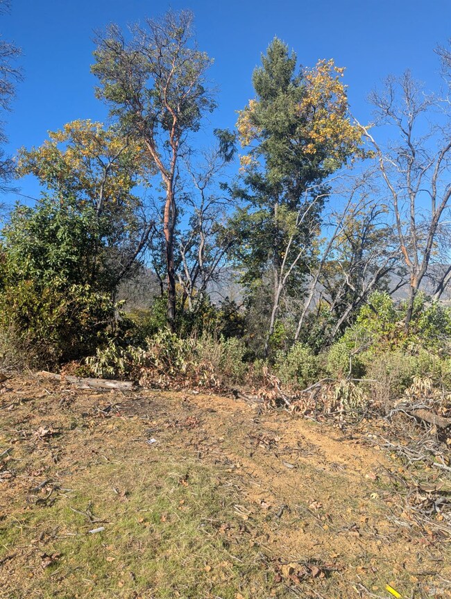 1833 Hunter Point Rd, Upper Lake, CA 95485 - photo 7