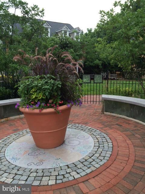 4712 Chestnut St, Bethesda, MD 20814 - photo 2