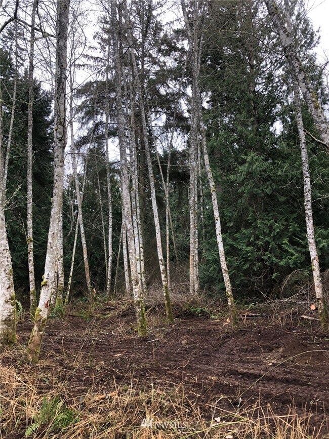 0 Lot 17 Rex St, Point Roberts, WA 98281 - photo 3
