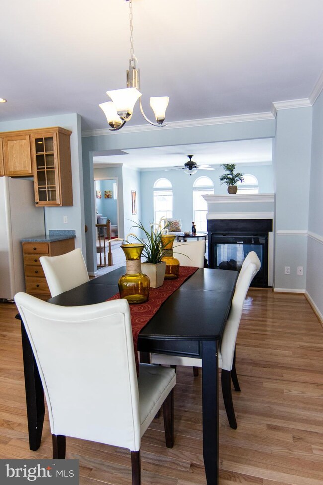 25384 Lisa Terrace, Aldie, VA 20105 - photo 5