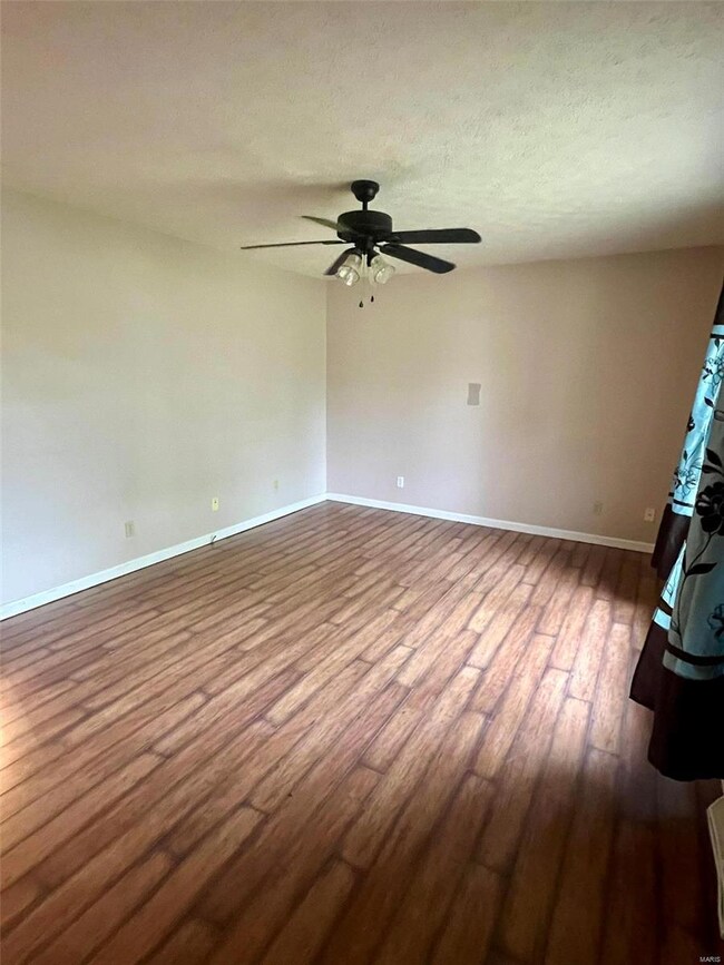 20055 Highway 28, Dixon, MO 65459 - photo 5