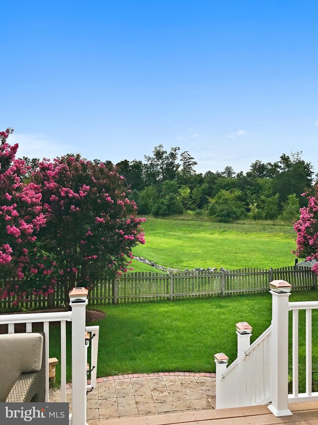 25639 Elk Lick Rd, Chantilly, VA 20152 - photo 7