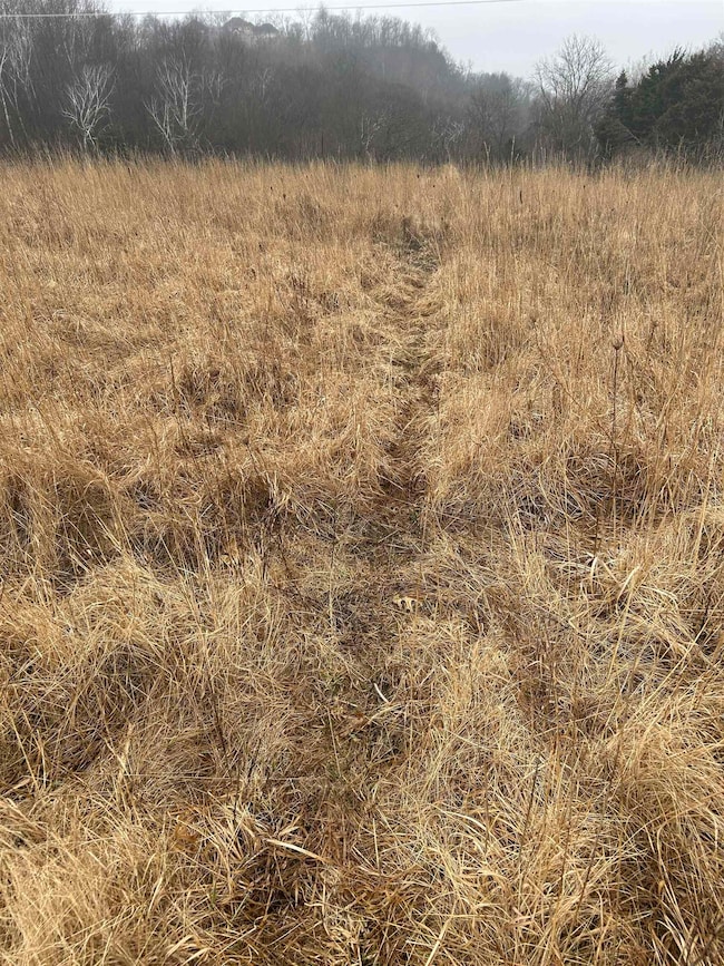 3707 Eckert Ln, Genoa, WI 54632 - photo 6