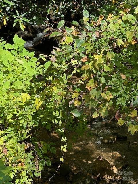 H16-H17 Shady Grove Rd, Tuckasegee, NC 28783 - photo 5