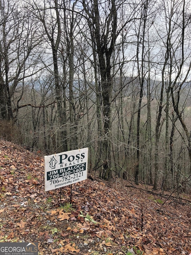 0 Brown Mountain Rd unit 10424867, Flats, NC 28775 - photo 2