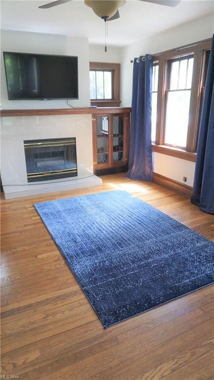 Living room with fireplace