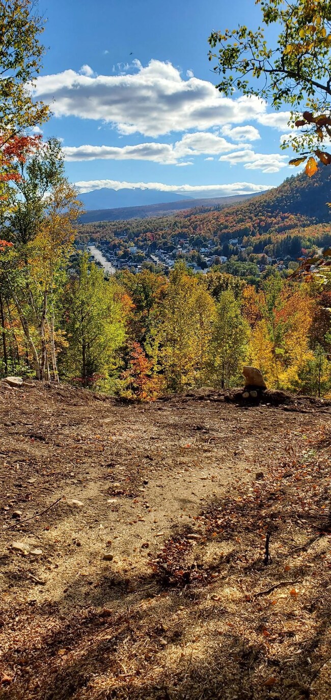 00 Church St unit 60, Berlin, NH 03570 - photo 5