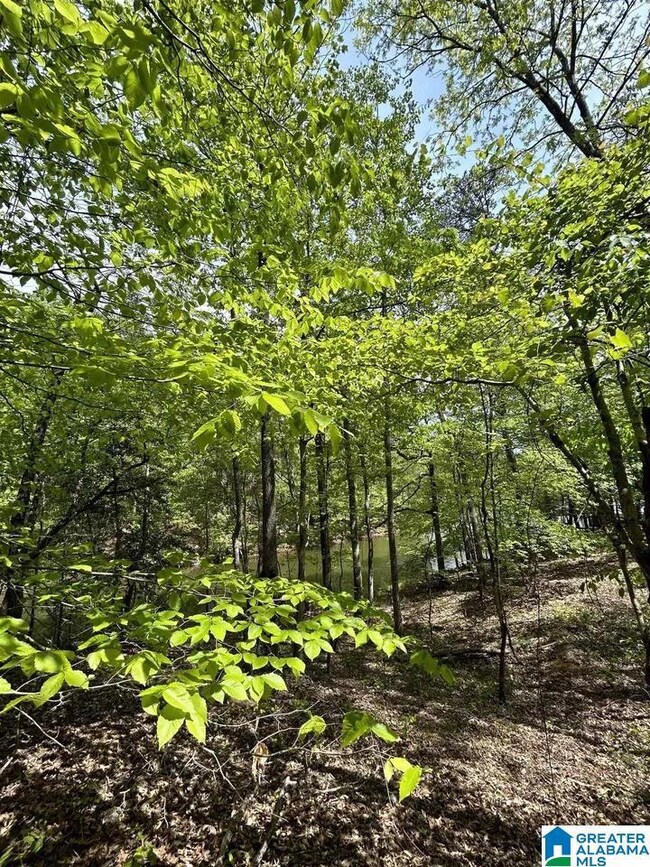 Lots 123 Red Cedar, Wedowee, AL 36278 - photo 5