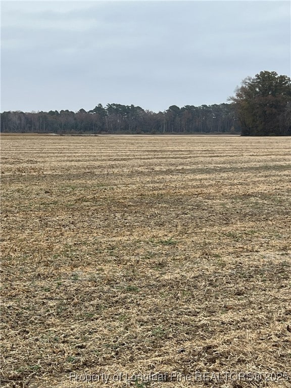 Lot 6 Buie - Philadelphus Rd, Red Springs, NC 28377 - photo 6