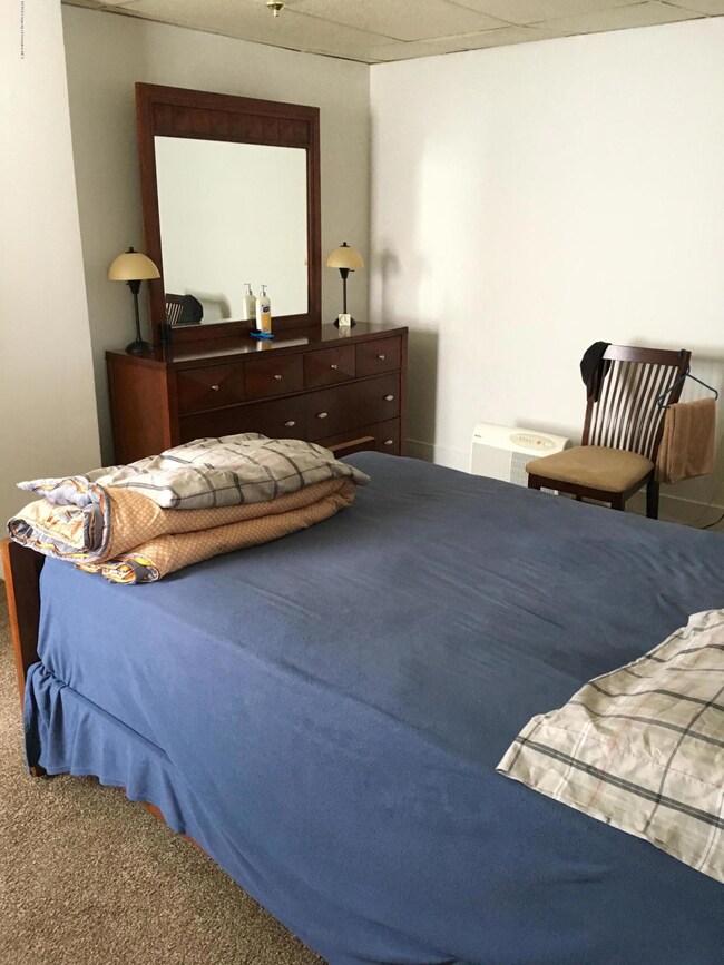 1005 Cedar Ave, Scranton, PA 18505 - photo 6