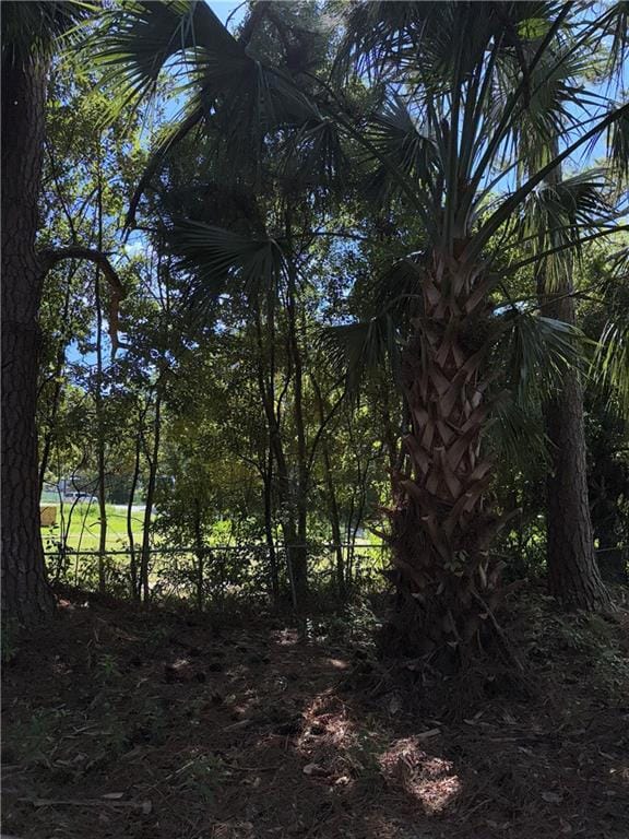 409 Davis Ave, Tifton, GA 31794 - photo 3