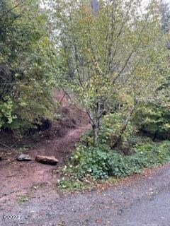image4 (2)