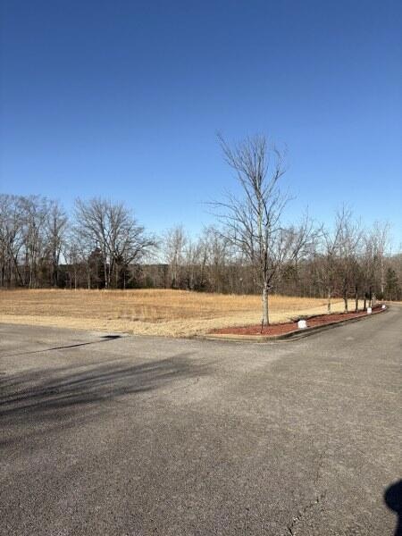 Lot 56 Autumn Ridge, Fulton, MS-2