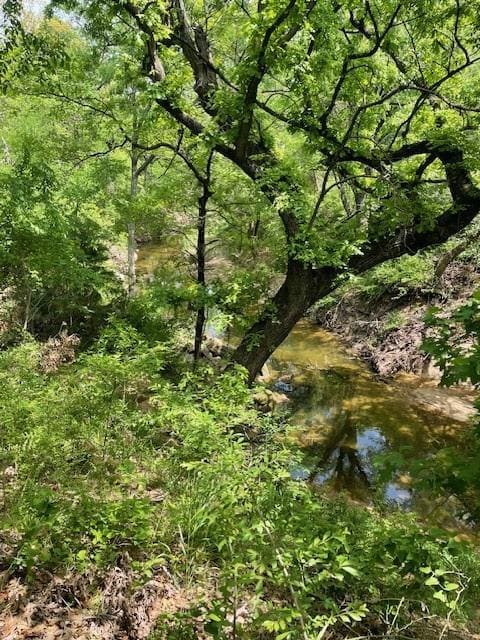 View of local wilderness