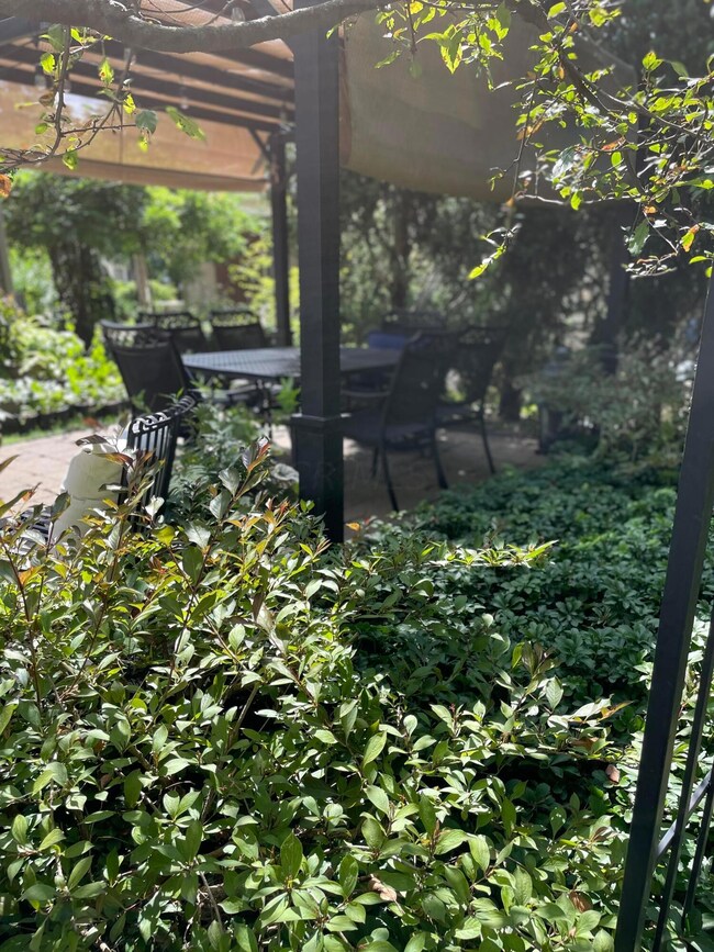 Patio #1 (Perspective)
