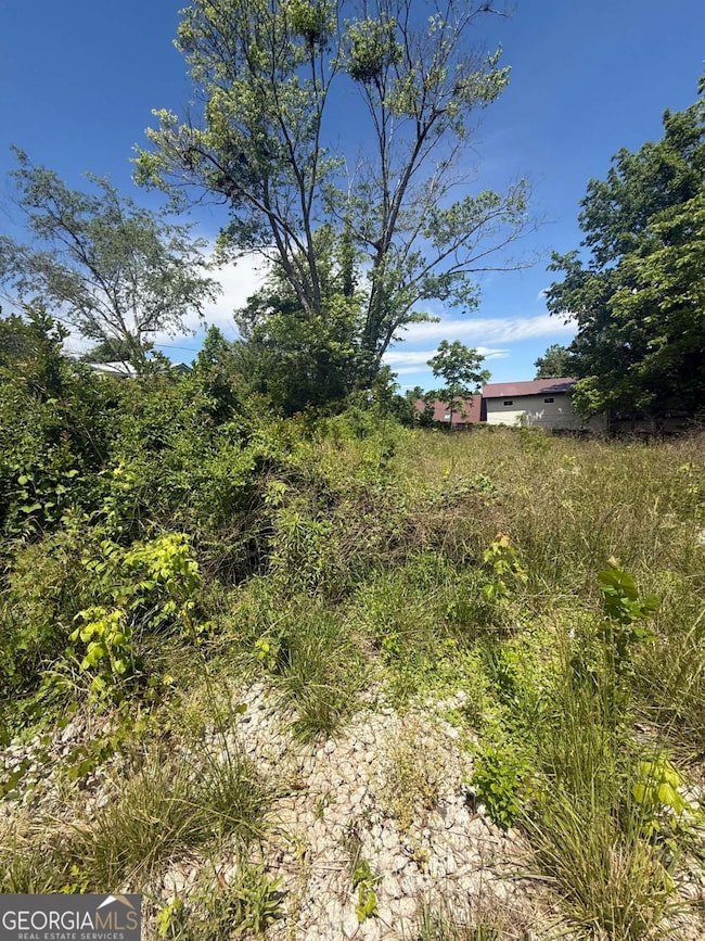 LT 19 E 2nd St, Blue Ridge, GA 30513 - photo 6