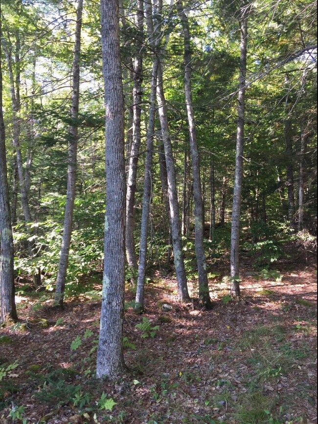 Campground #1