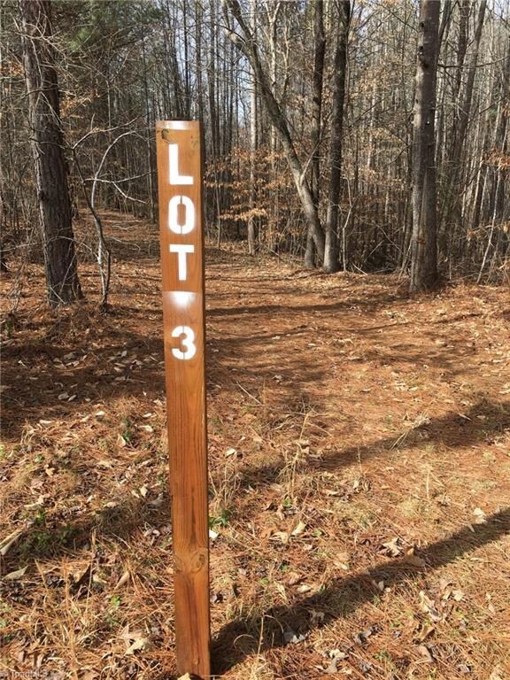 Tract 3 Moonlight Meadow Rd, Asheboro, NC 27205 - photo 3