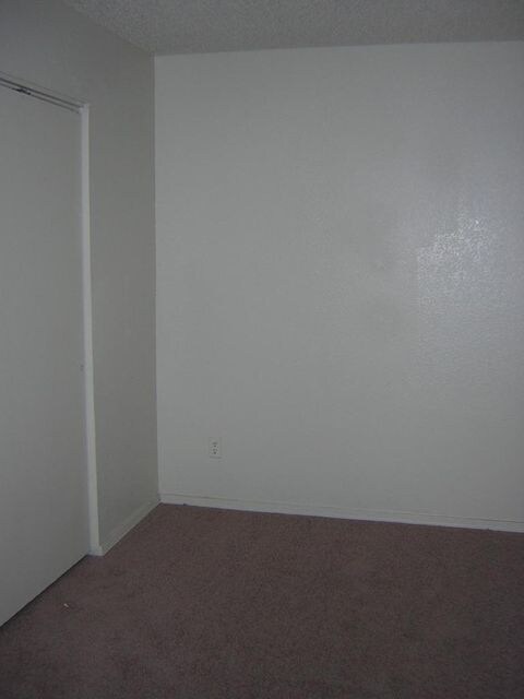 16031 S Spartan St, Chandler, AZ 85225 - photo 4